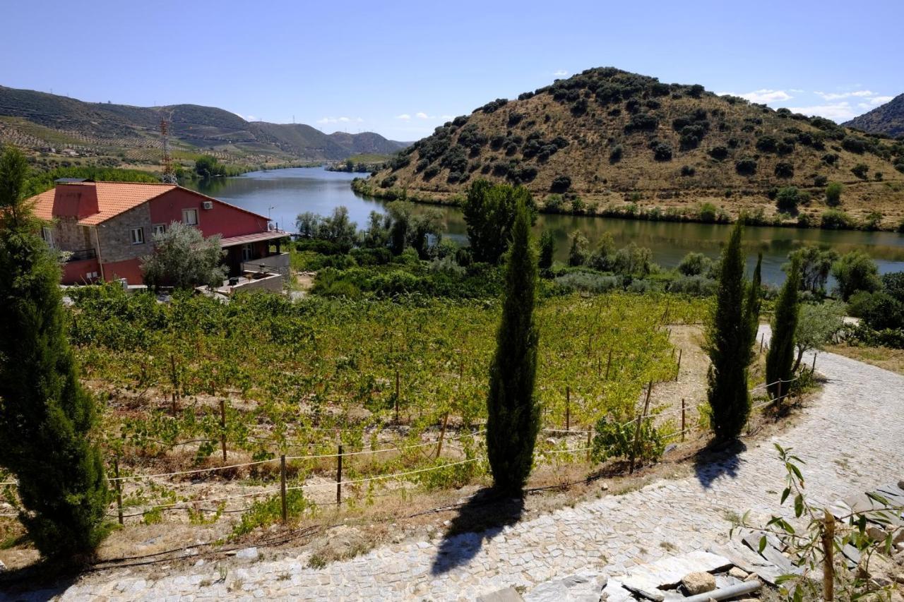 Olhares Do Douro Guest House Torre De Moncorvo Eksteriør bilde
