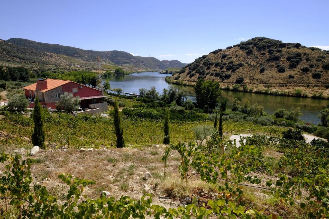 Olhares Do Douro Guest House Torre De Moncorvo Eksteriør bilde
