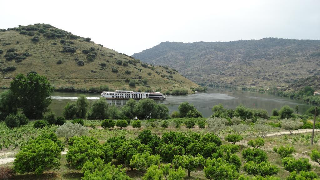 Olhares Do Douro Guest House Torre De Moncorvo Eksteriør bilde