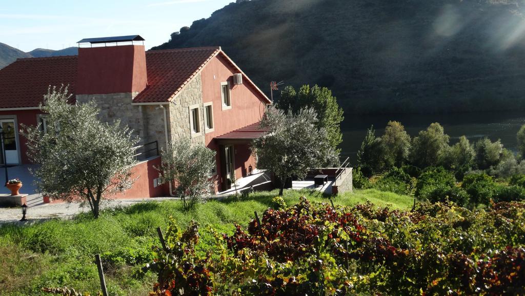 Olhares Do Douro Guest House Torre De Moncorvo Eksteriør bilde